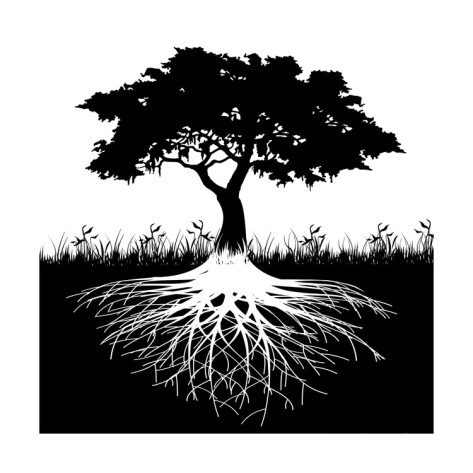 tree-roots